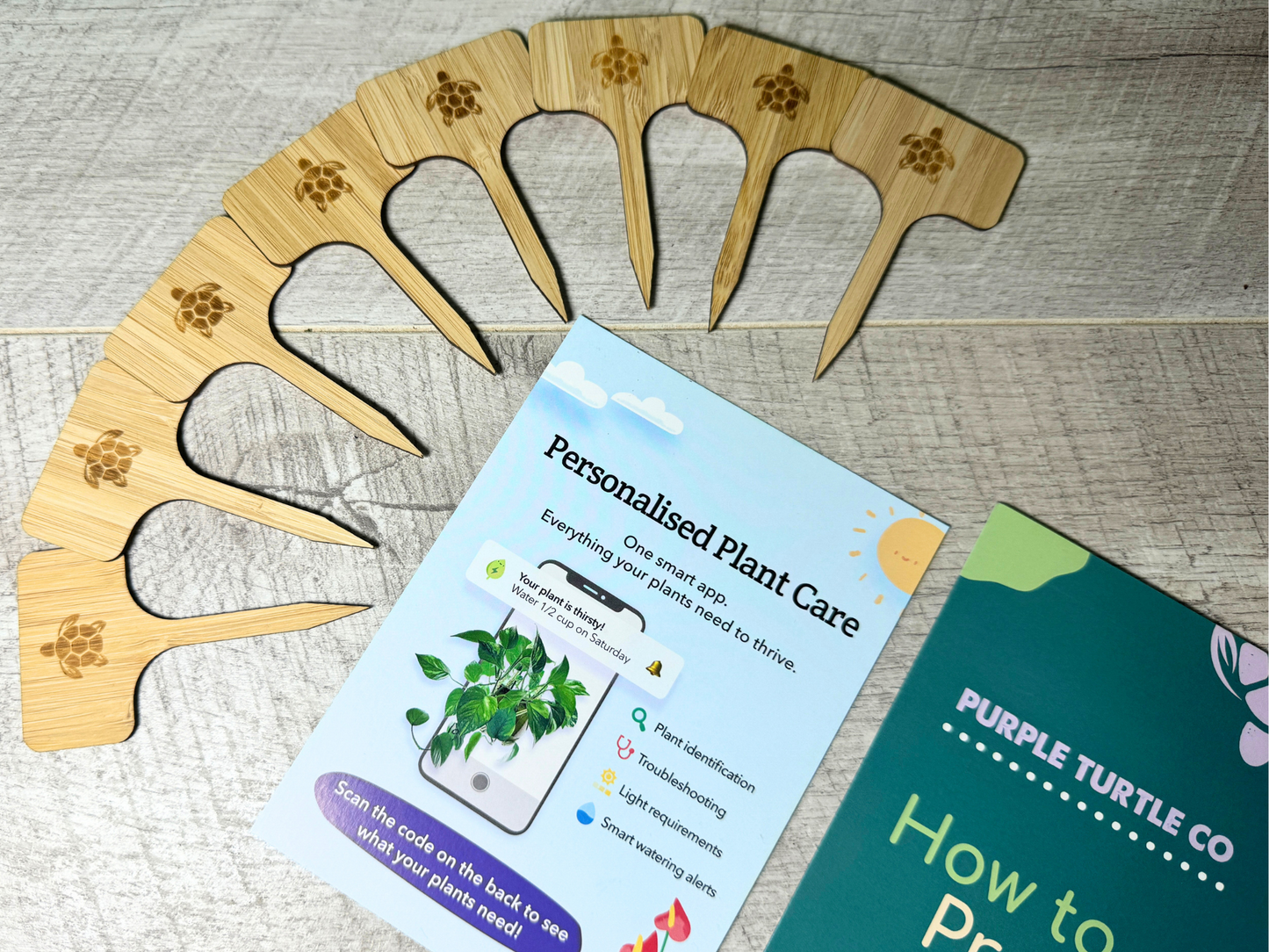 Plant Propagation Gift Set #4