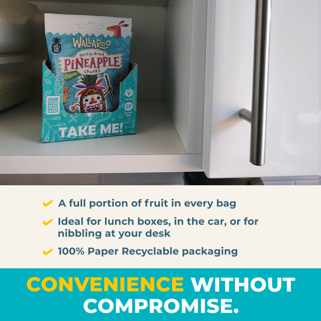 Organic Gently Dried Pineapple Chunks