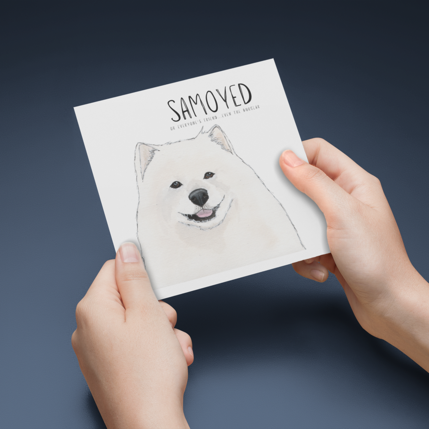 Fluff, Love & Alibis – A Samoyed Card for All Occasions
