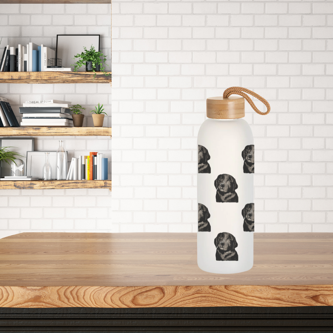 Stay Pawsitively Hydrated – Om Nom Nomnivore Glass Bottle