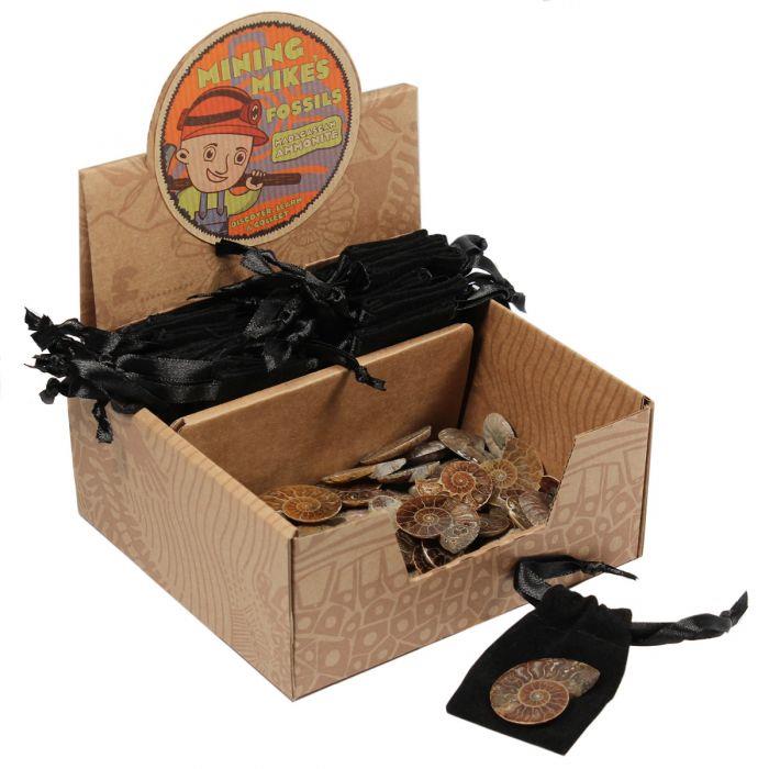 Mining Mike's Ammonites, Madagascar