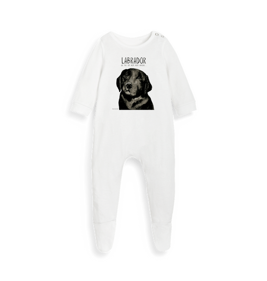 Dreaming of Snacks – The Black Labrador Sleepsuit