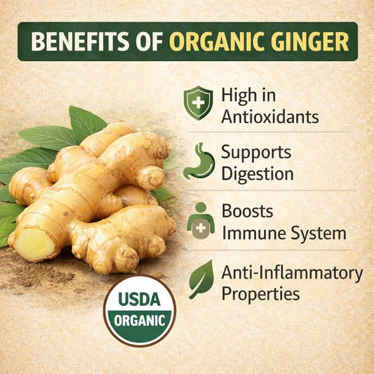 Organic Ginger Tincture - CIRCULATION, DIGESTION, NAUSEA RELEIF, TRAVEL SICKNESS