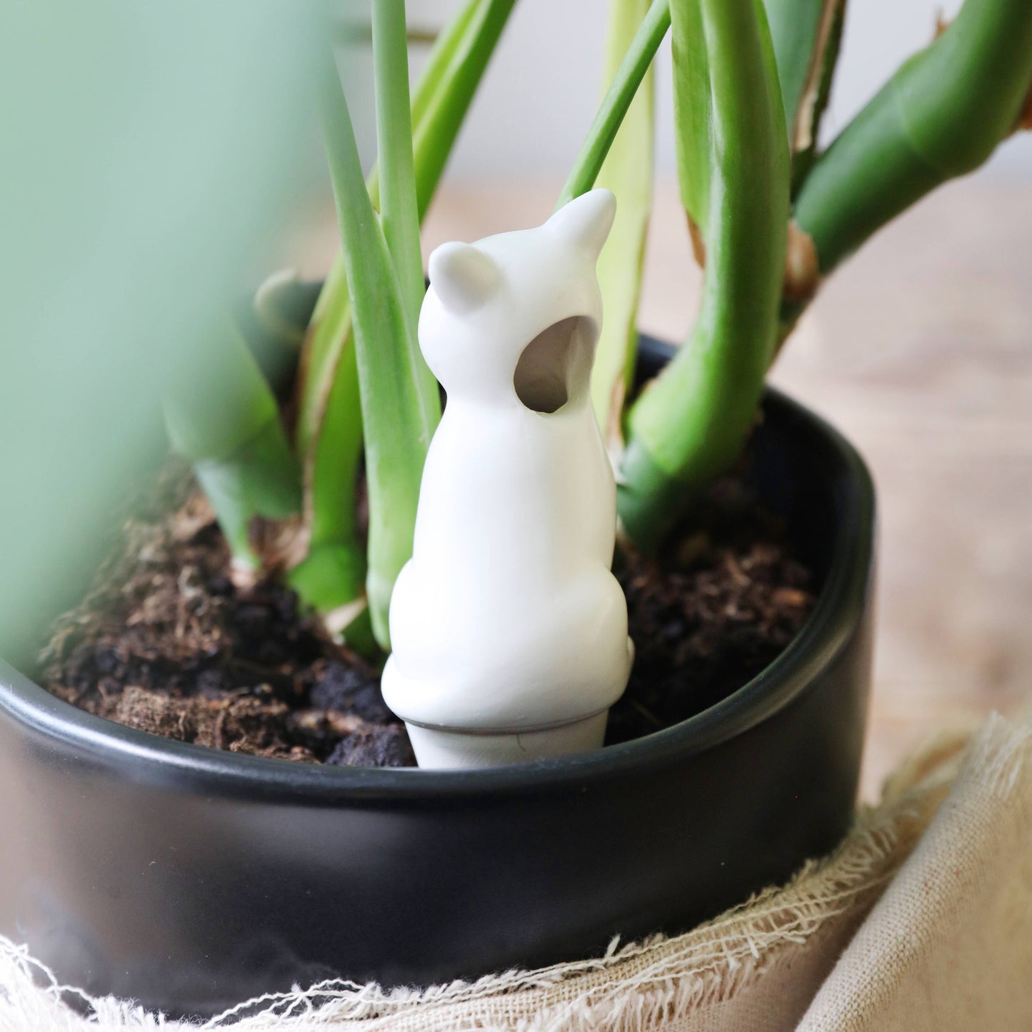 Lisa Angel Cat Plant Watering Spike