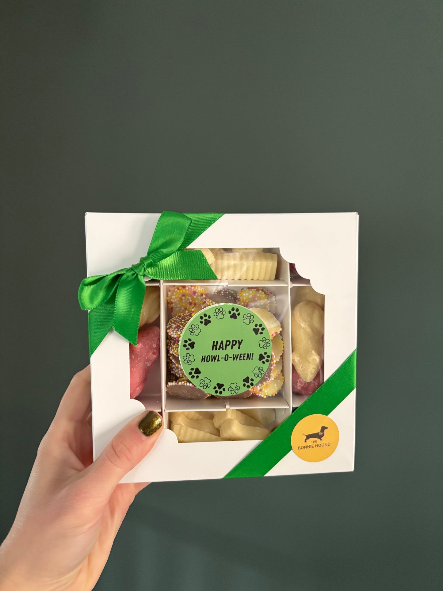 Halloween Dog Treat Box (Happy Howl-o-ween!)