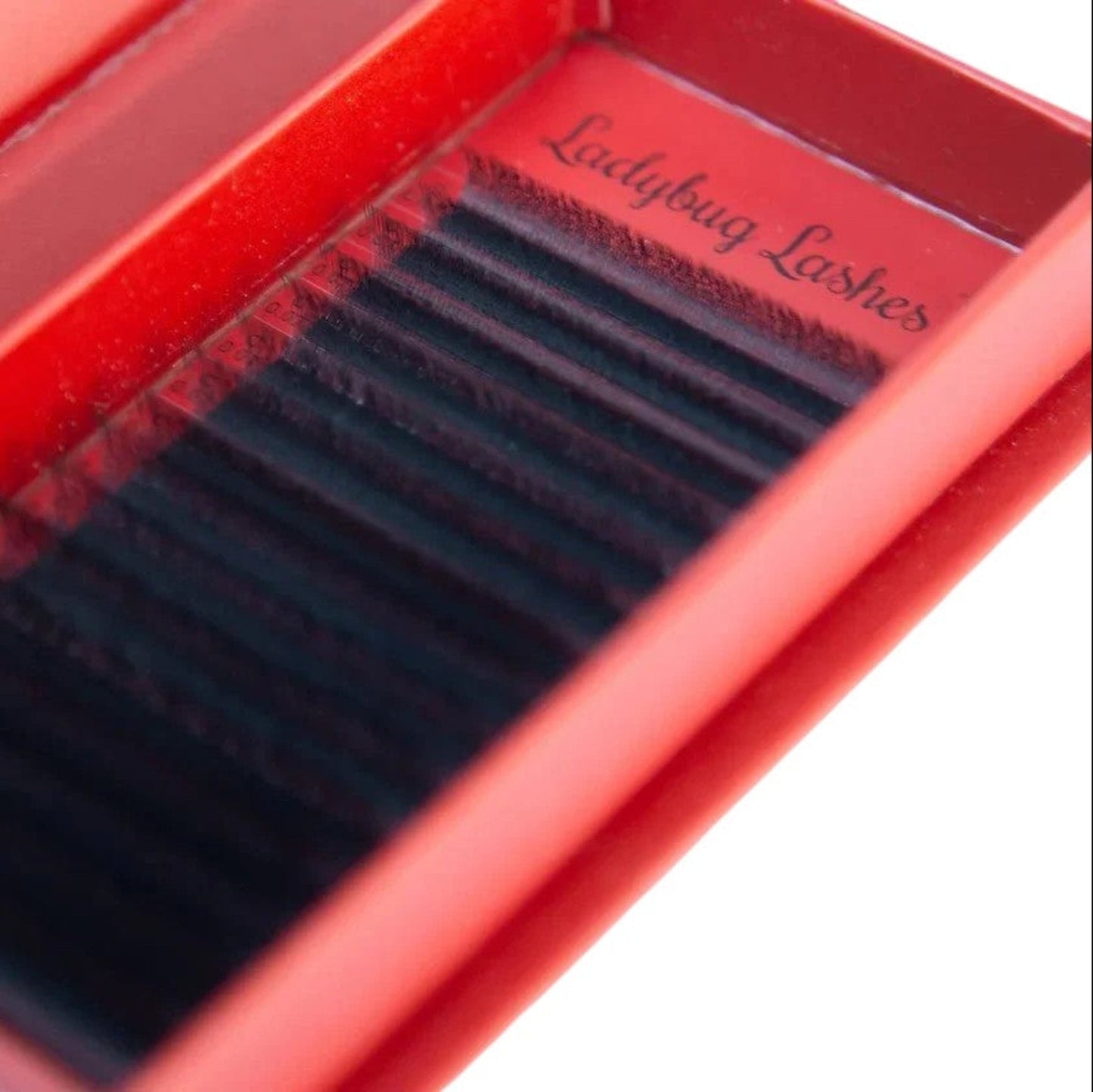 6D Clover Lashes – 16 Row Single Length Trays