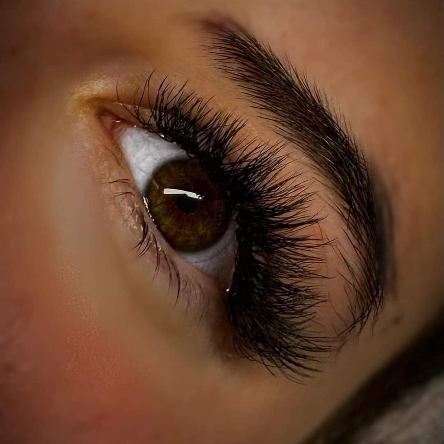 6D Clover Lashes – 16 Row Single Length Trays