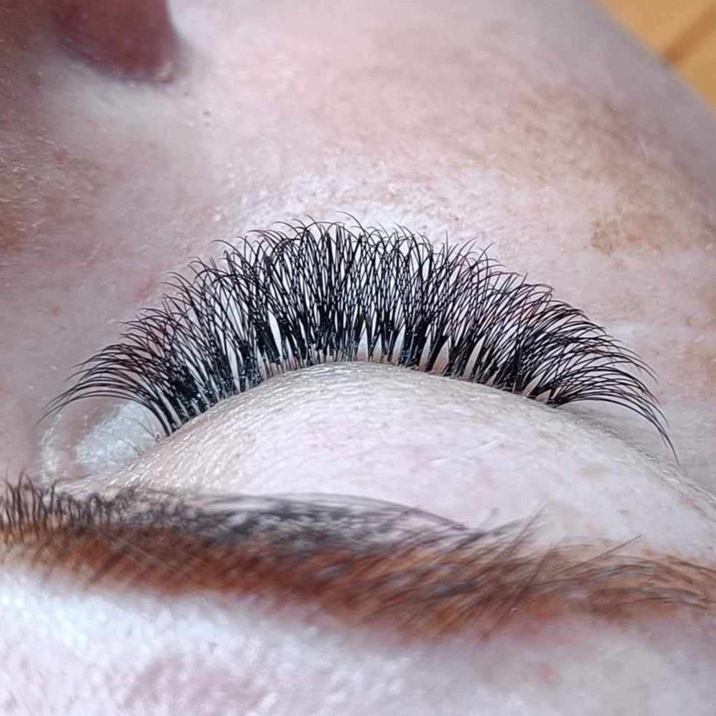 6D Clover Lashes – 16 Row Single Length Trays