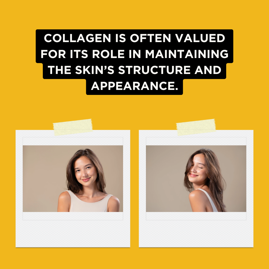 Ginger + Marine Collagen 3,000mg