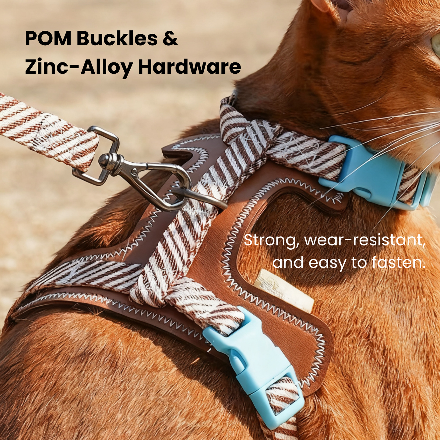 zeze Pet Leash & Harness Set