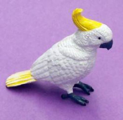 Sulphur Crested Cockatoo