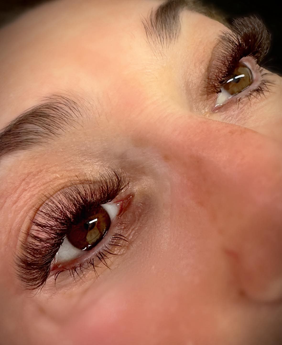 Brown 6D Clover Lashes – 16 Row Mixed Tray