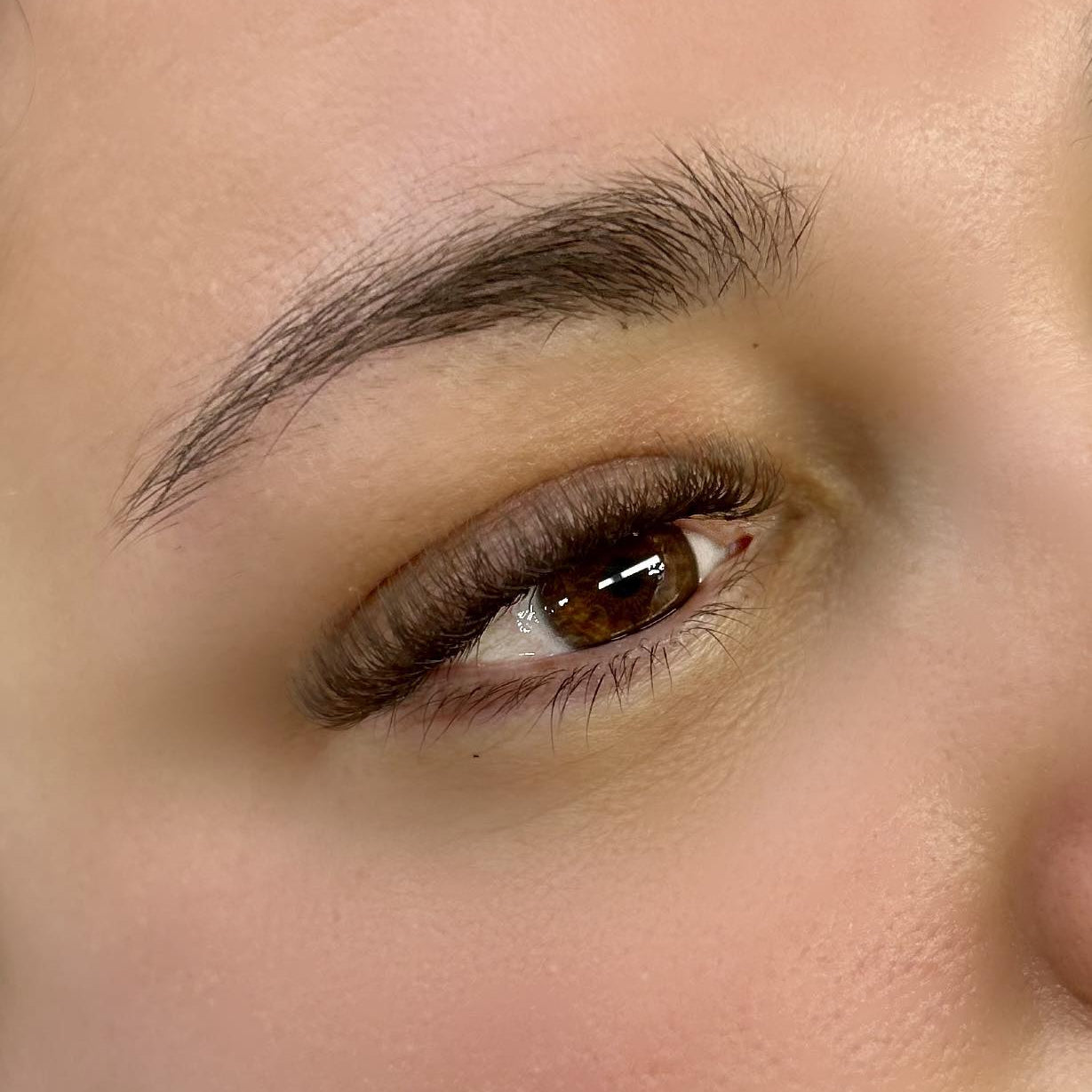 Brown 6D Clover Lashes – 16 Row Single Length Trays