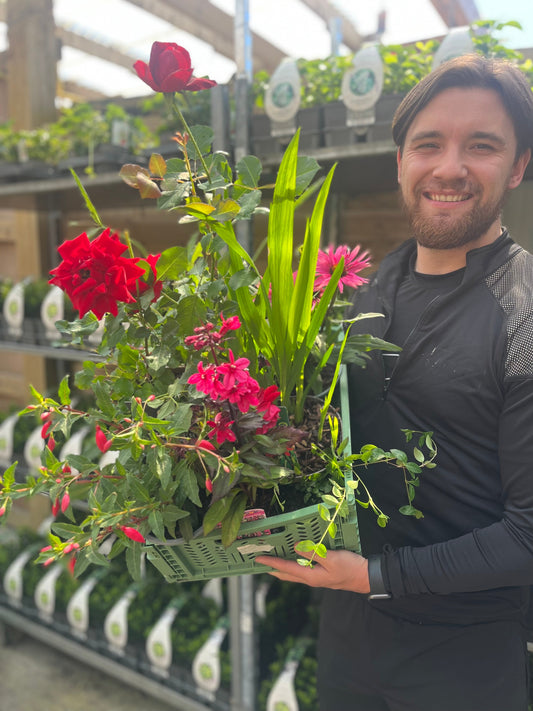 Leaf it to us! Monthly Subscription Box