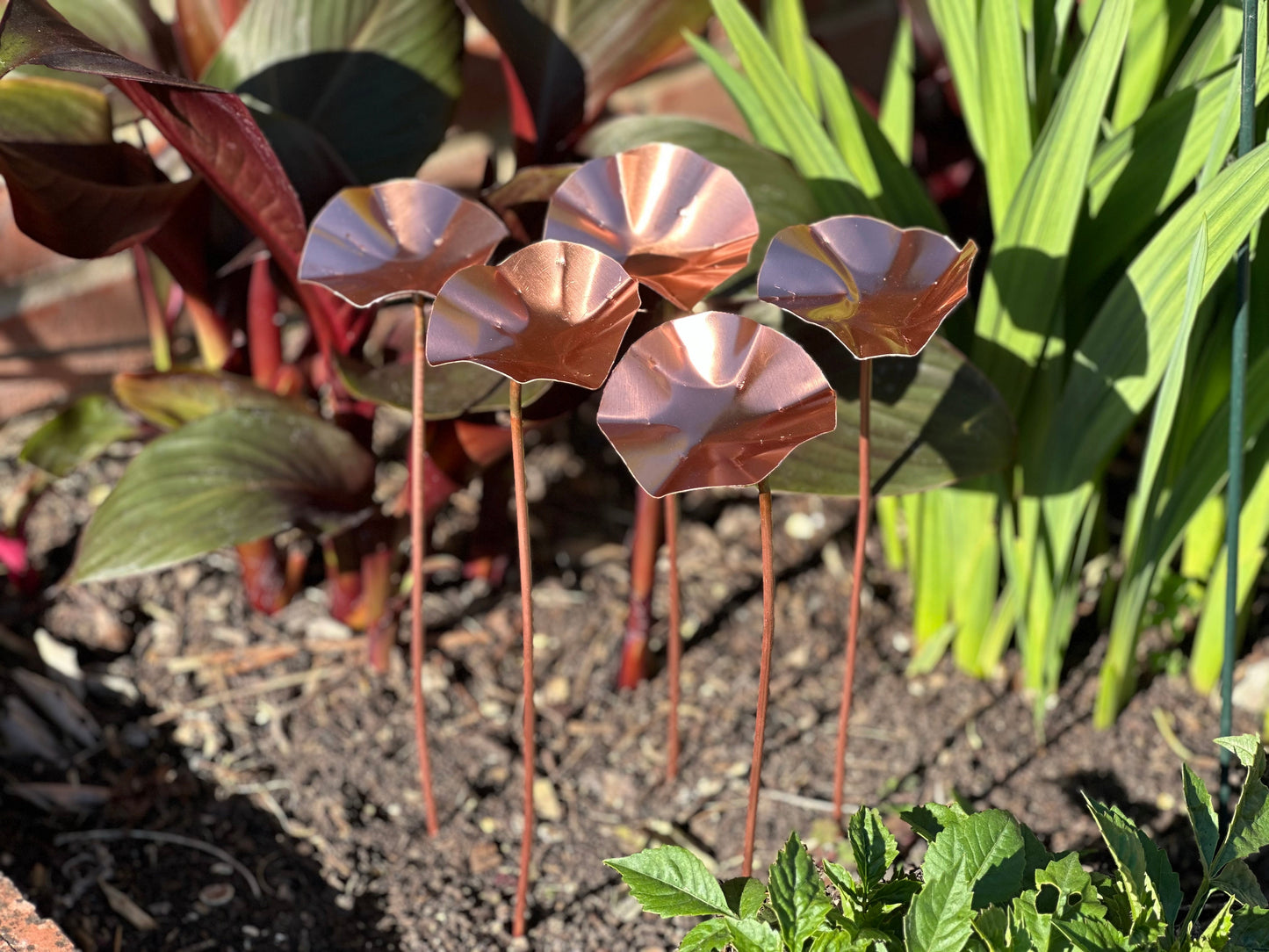 5 x Copper Bee Drinker Bundle