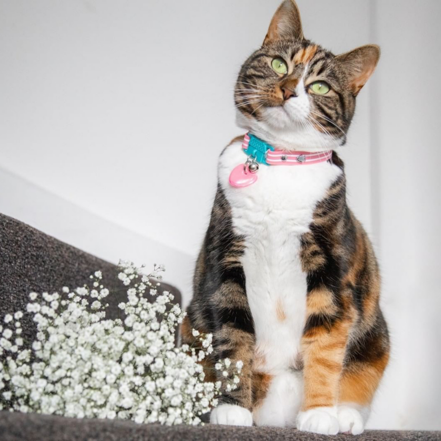 KITTYRAMA HEART CAT CHARM – Reflective, Safe, High Visibility