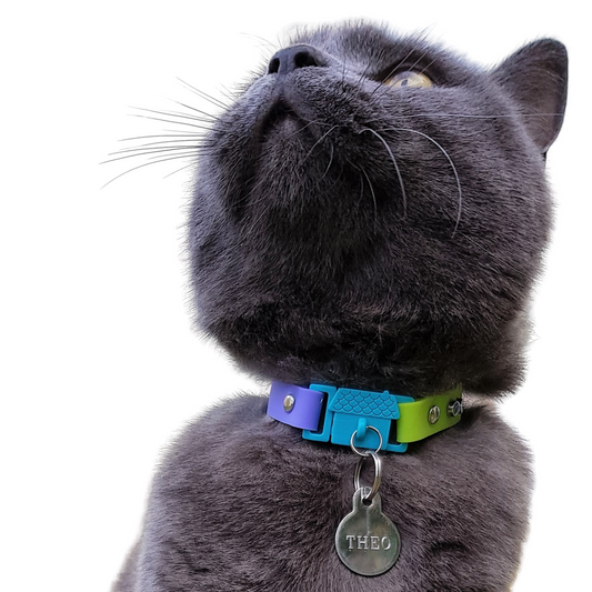 KITTYRAMA TAHITI CAT COLLAR - Quick Release, Breakaway, Hypoallergenic