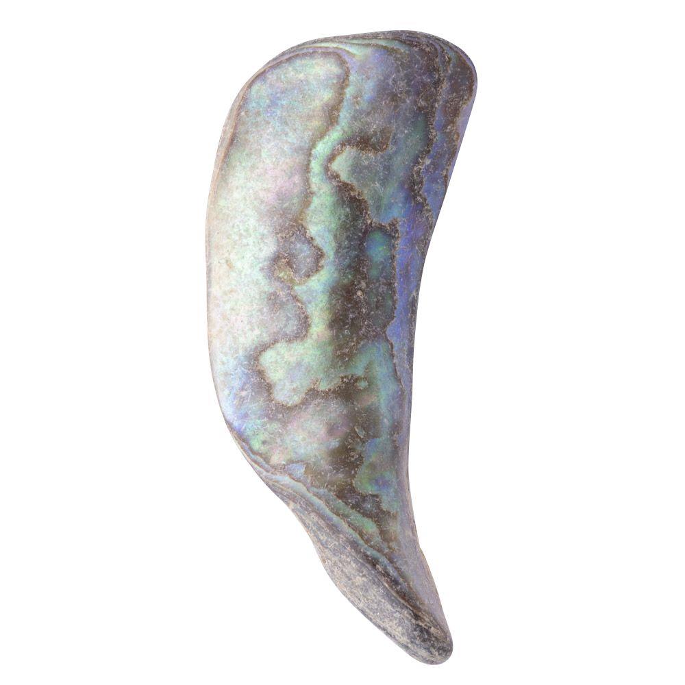 Abalone Shell Tumbled, Unsized, (sold singly)