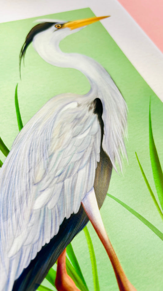 Grey Heron Wildlife Art Print –Wall Art for Nature Lovers  in Multiple Sizes