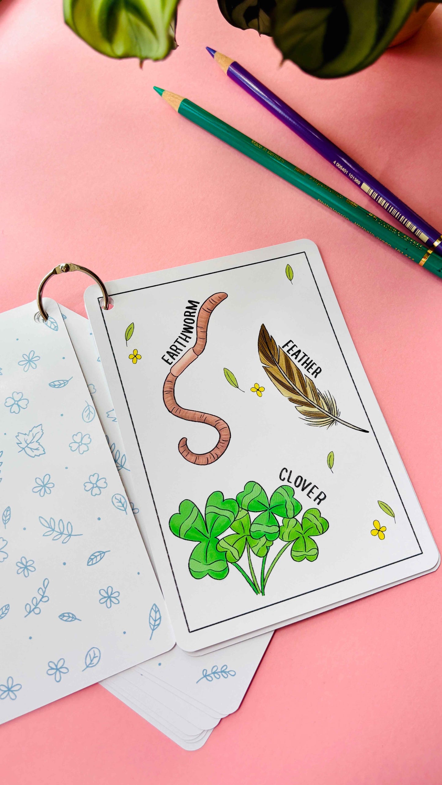 Nature Explorer Scavenger Hunt Cards- Illustrated Educational Activity Cards for Kids