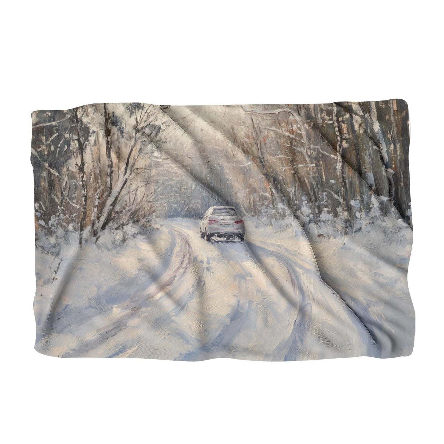 Snowy Car on Winter Blanket