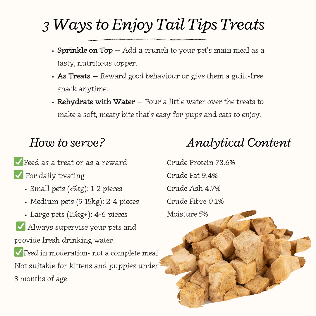 Salmon Swoon - 100% Freeze-Dried Salmon Treats | Pure & Natural | Tail Tips UK | 50g pack