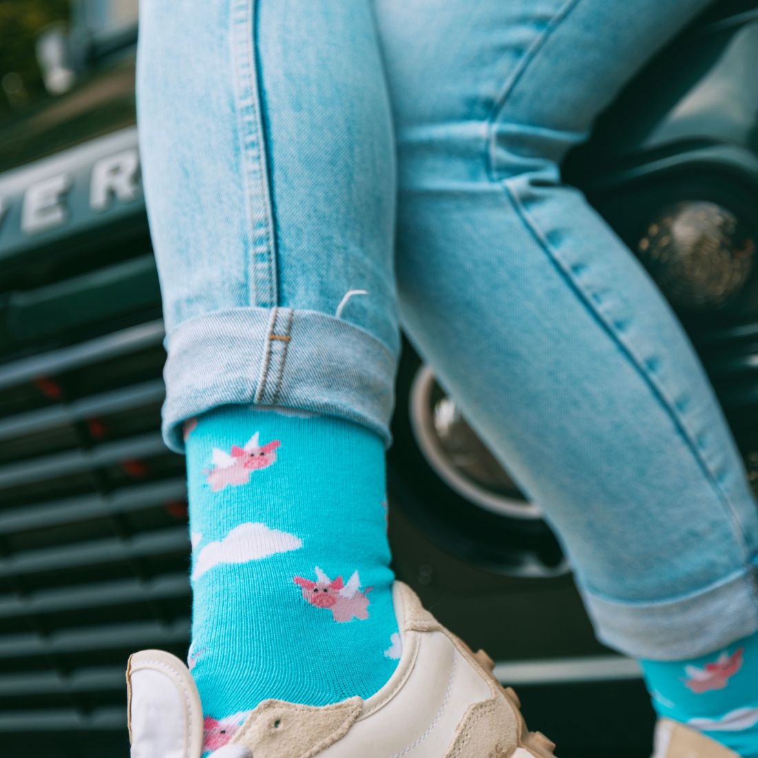 Flying Pig Bamboo Socks
