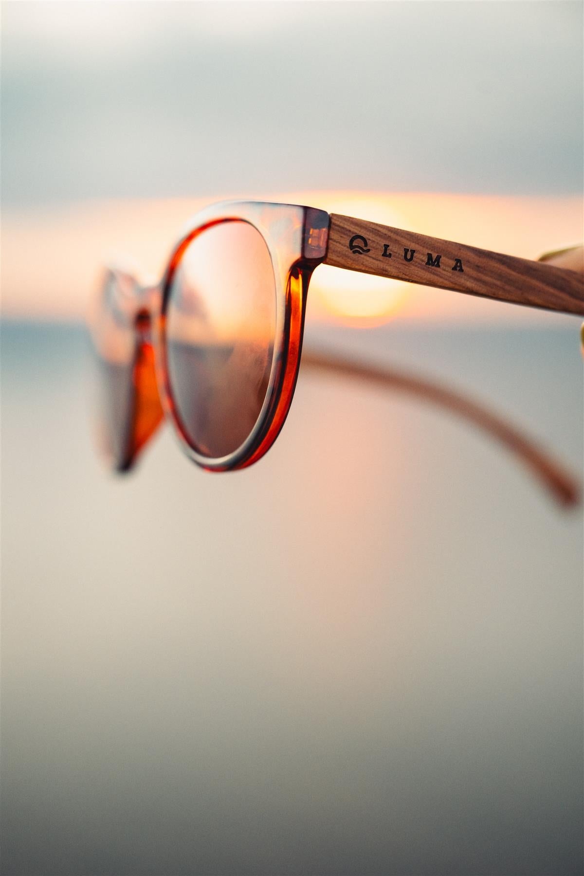 Luma Sunglasses - Tarka - Tortoise