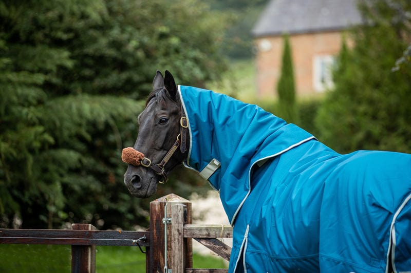 50g Detachable Neck Turnout Rug - Turquoise