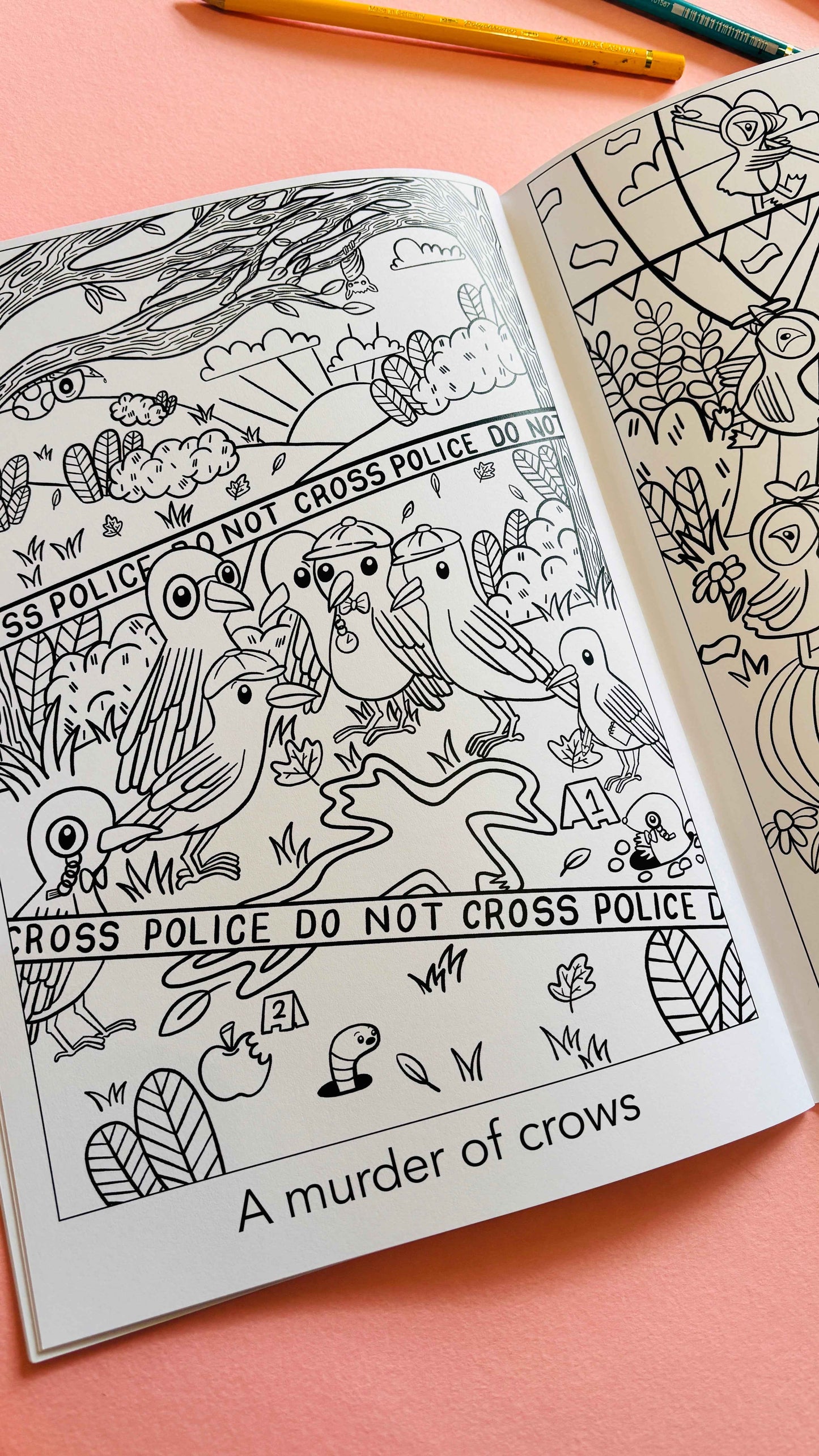 A crown of kingfishers: A collective noun colouring book