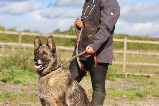 Cushion Web Multi-Lead