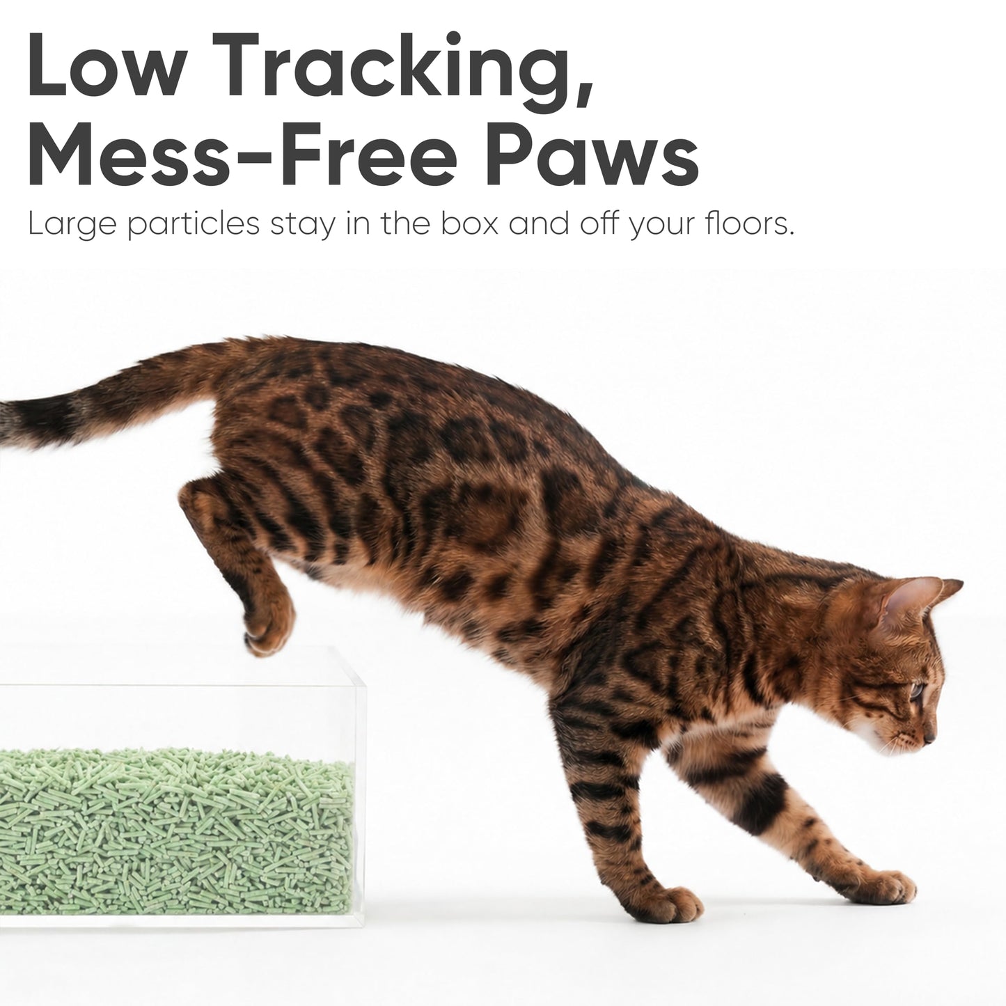 FUKUMARU Green Tea Tofu Cat Litter