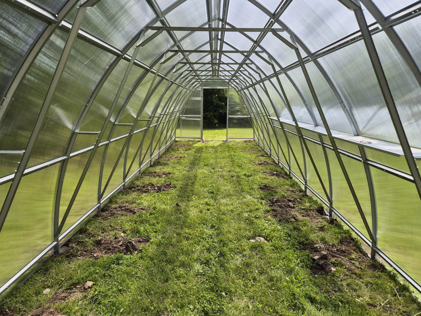 GREENHOUSE SUNGROW, 30M² (3M X 10M; 9.8FT X 33FT)