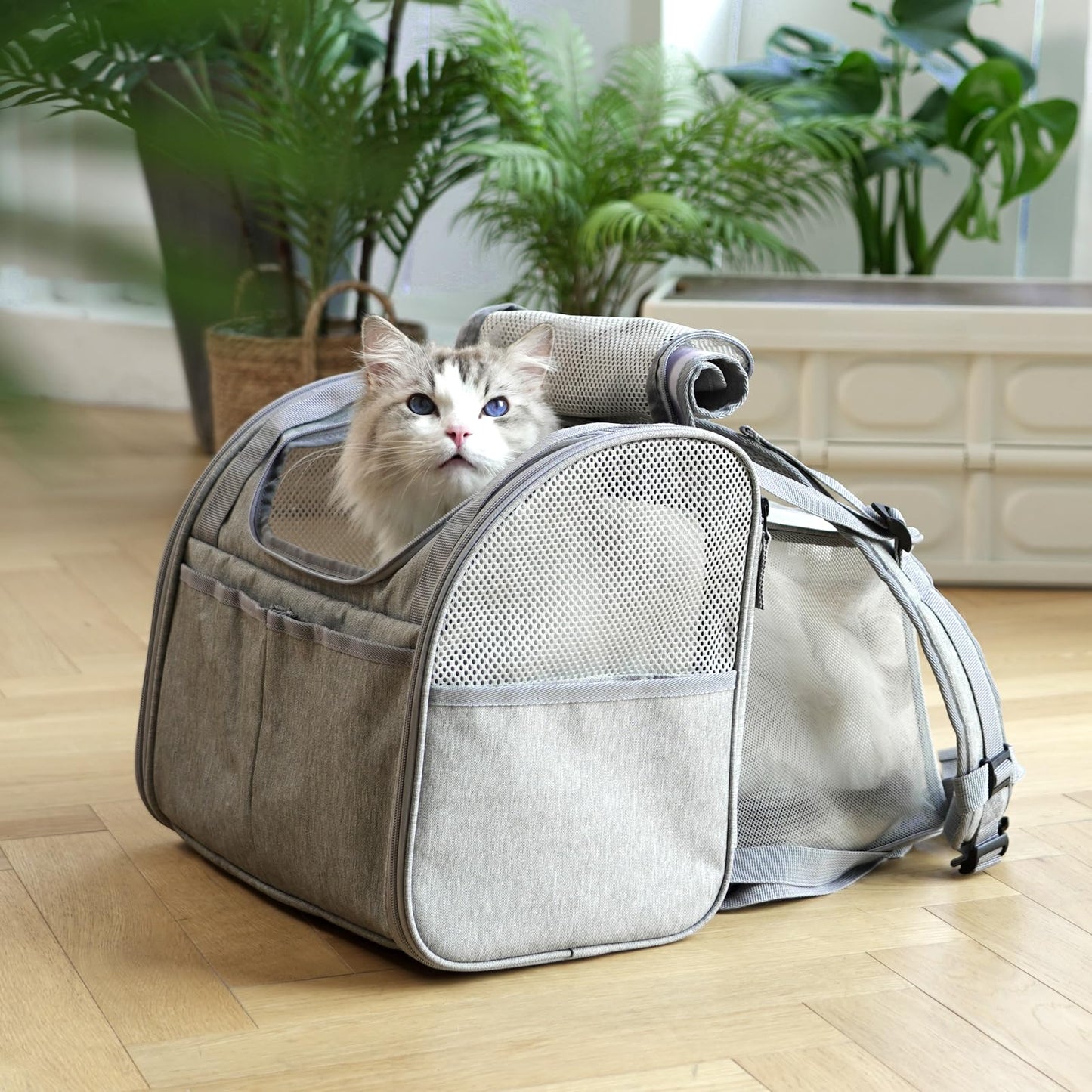 FUKUMARU Cat Backpack, Expandable, Grey