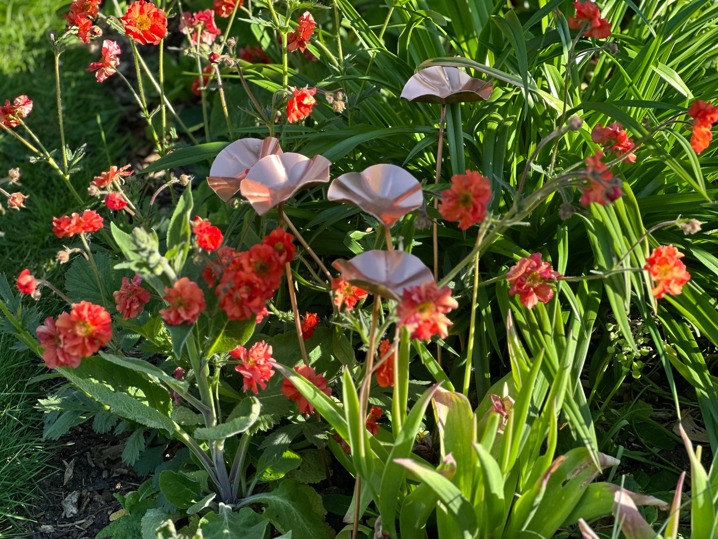 5 x Copper Bee Drinker Bundle