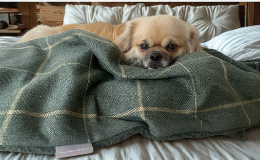 The Arlo Collection Dog/Pet Blanket - Forest Green Check