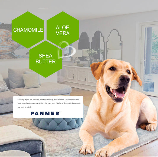 Pet Wipes For Dogs and All Pets Hypoallergenic Unscented Wipes