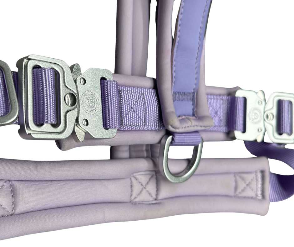 The 2.5cm BTactical™ Slip on Harness| Pastel Purple