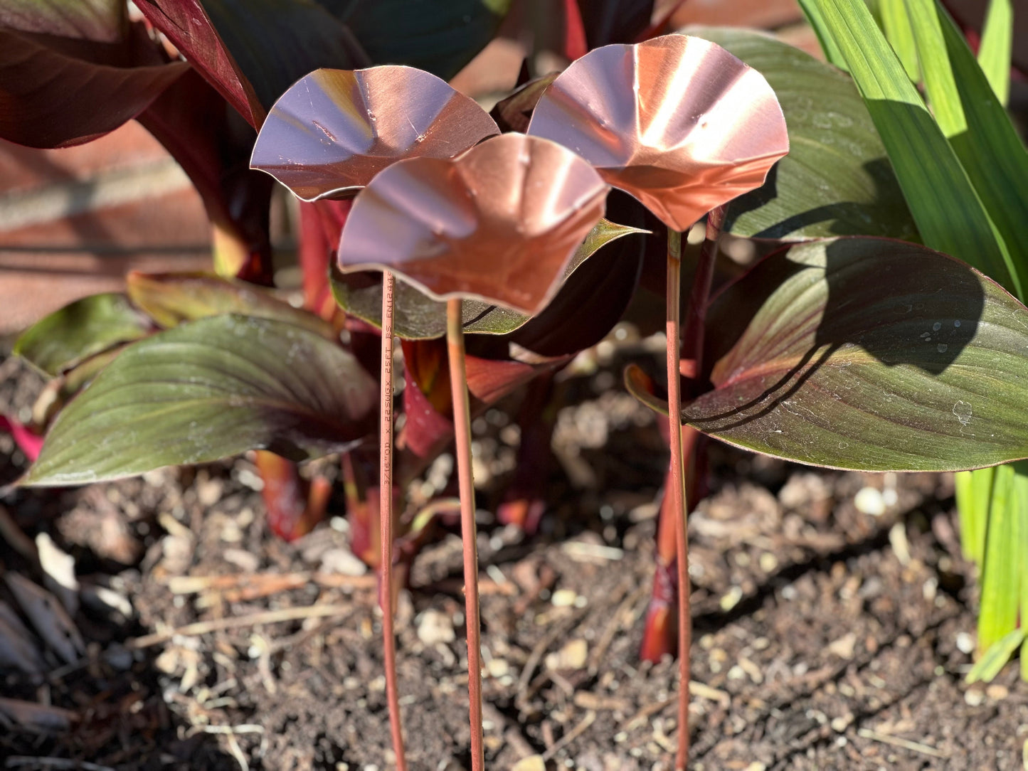 3 x Copper Bee Drinker Bundle