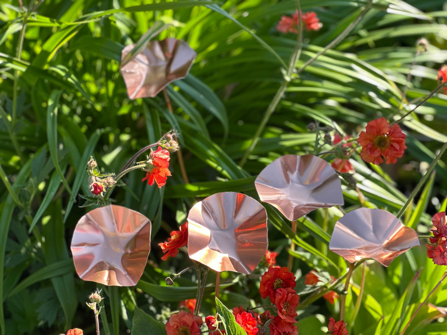 5 x Copper Bee Drinker Bundle