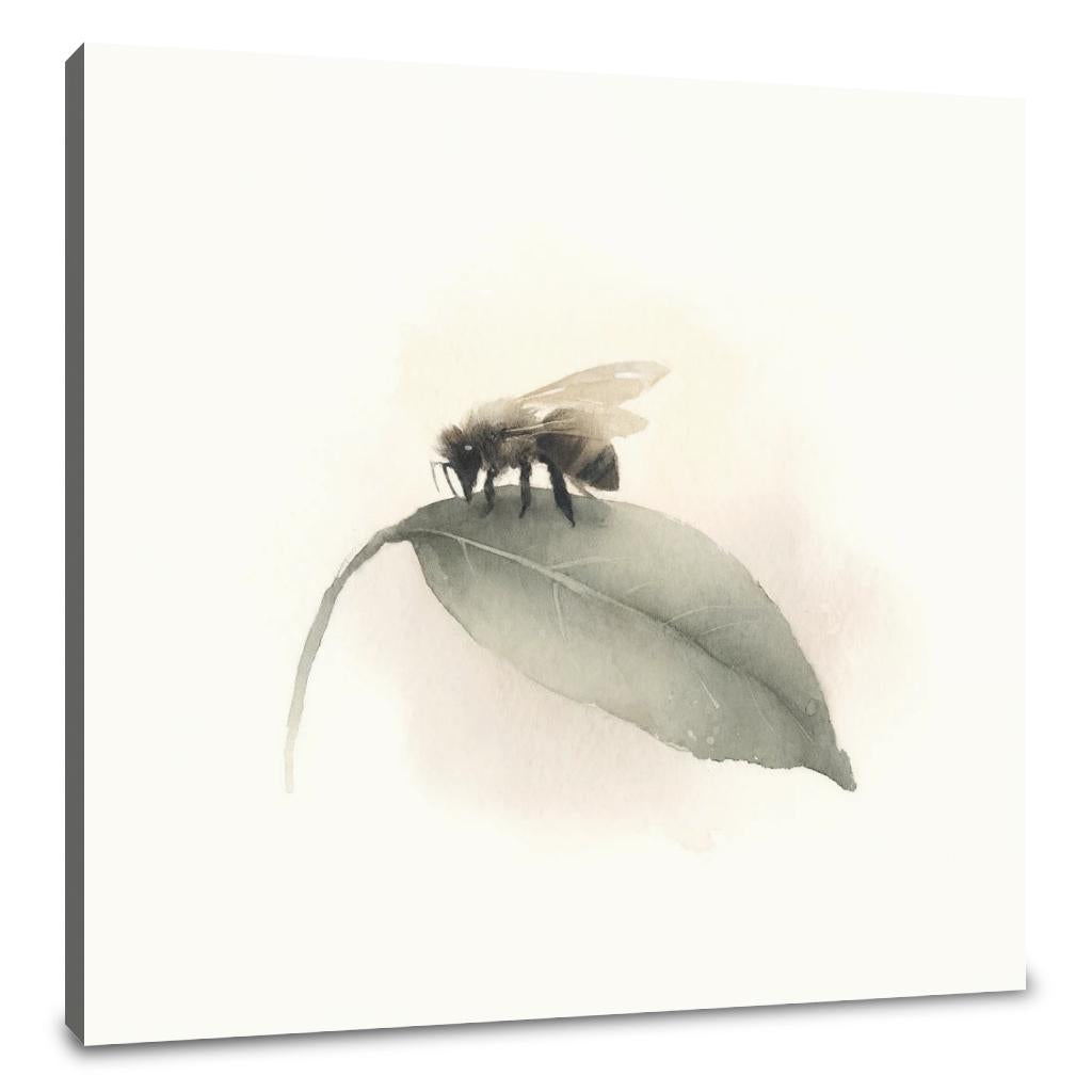 Bee's Quiet Moment Canvas