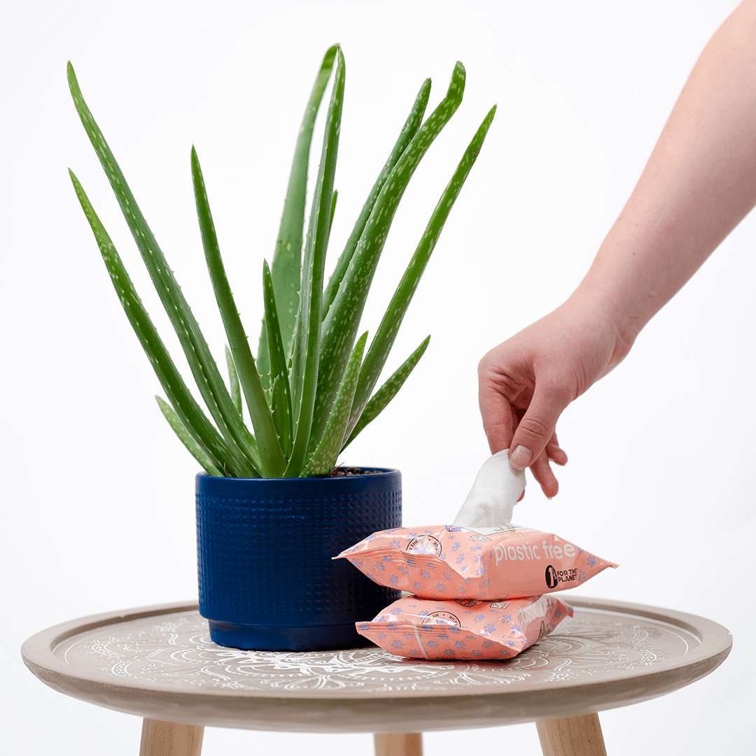 🌱 Compostable Pet Wipes 🐶🐾