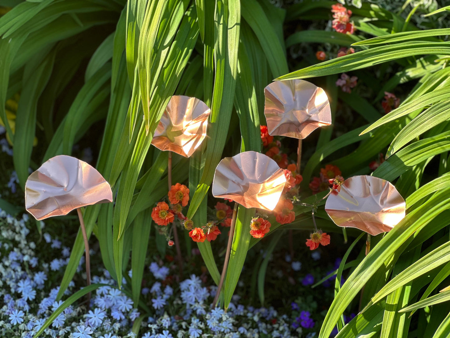 5 x Copper Bee Drinker Bundle