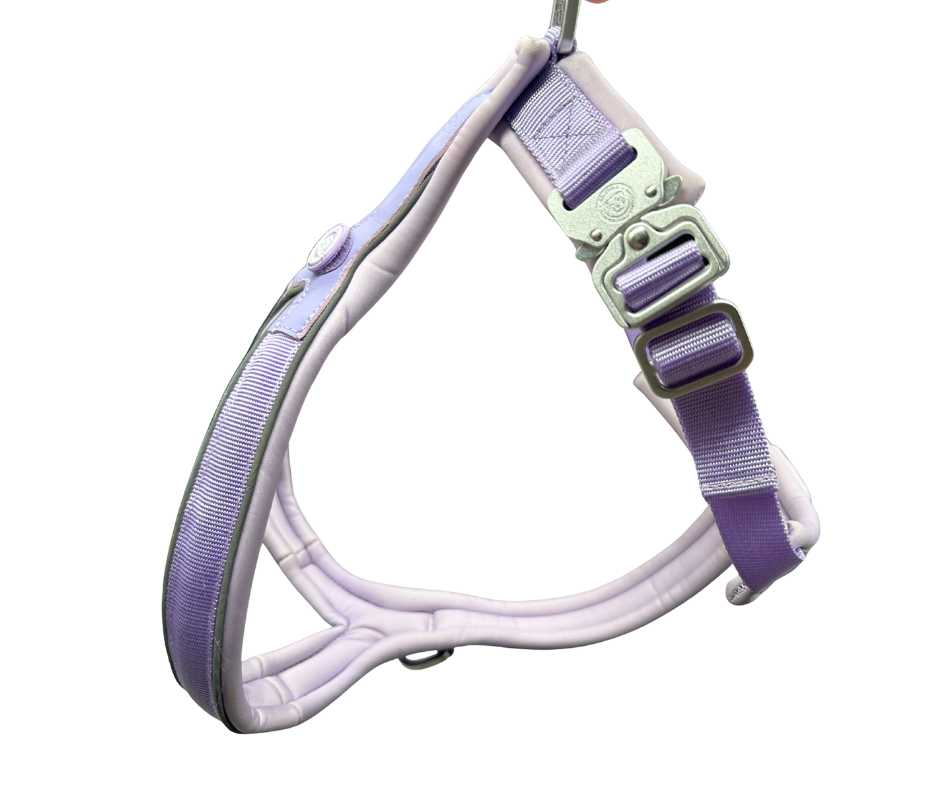 The 2.5cm BTactical™ Slip on Harness| Pastel Purple