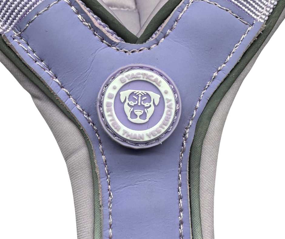 The 2.5cm BTactical™ Slip on Harness| Pastel Purple