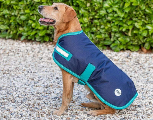 Waterproof Dog Coat - Navy