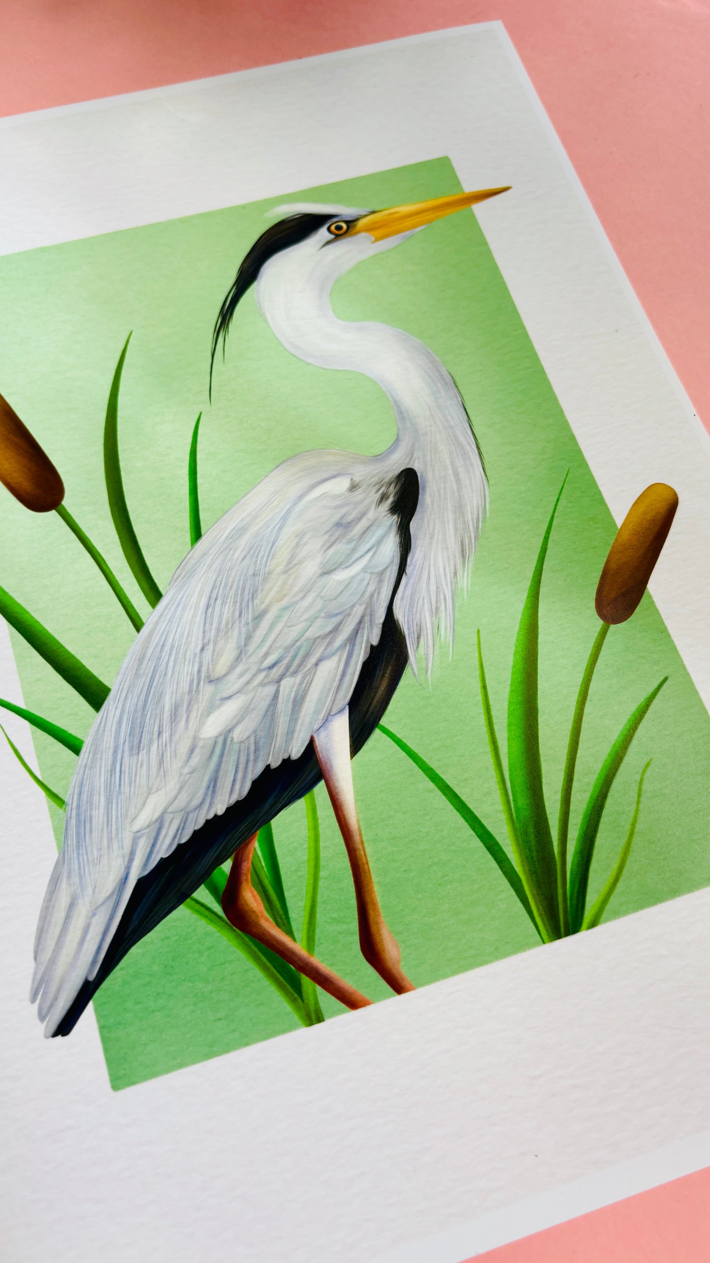 Grey Heron Wildlife Art Print –Wall Art for Nature Lovers  in Multiple Sizes