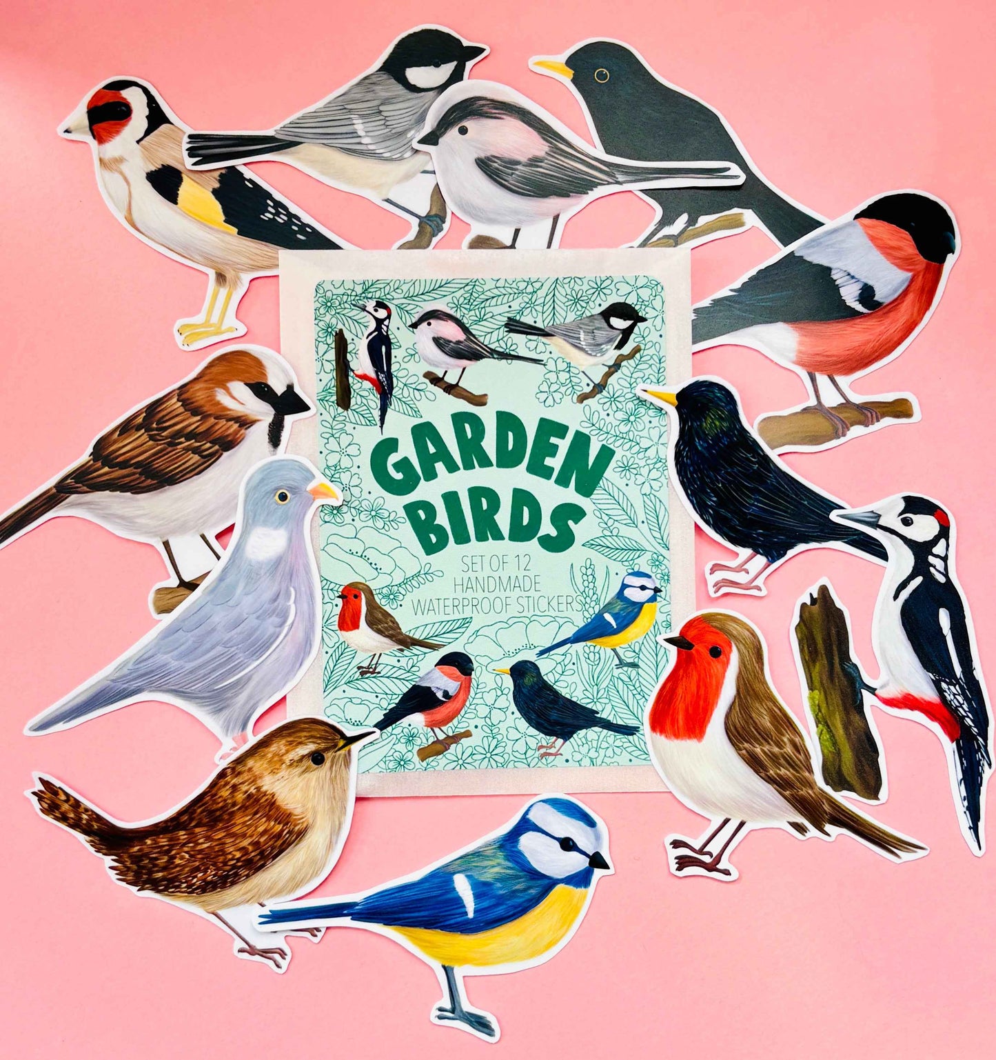 Garden Bird Sticker Gift Set- 7cm Vinyl Waterproof Stickers