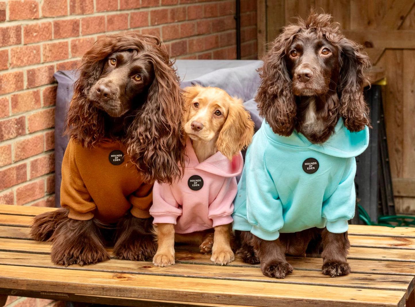 Dog Hoodie - Charcoal Grey