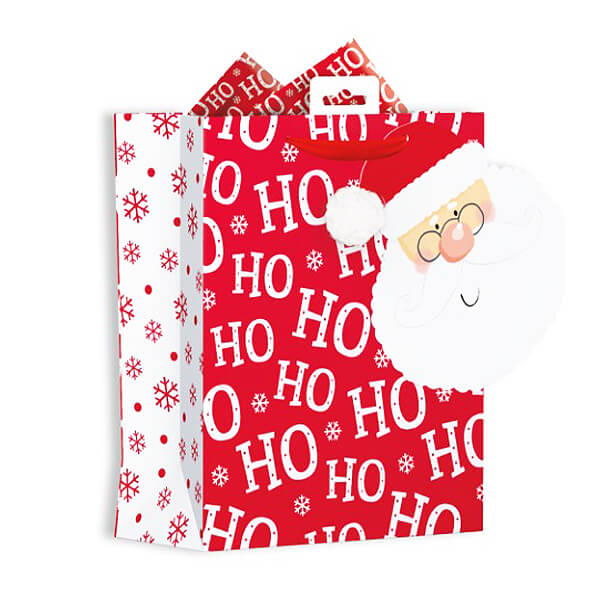 Medium Christmas Gift Bag with HoHoHo Santa Print W215 x H265 x D100mm